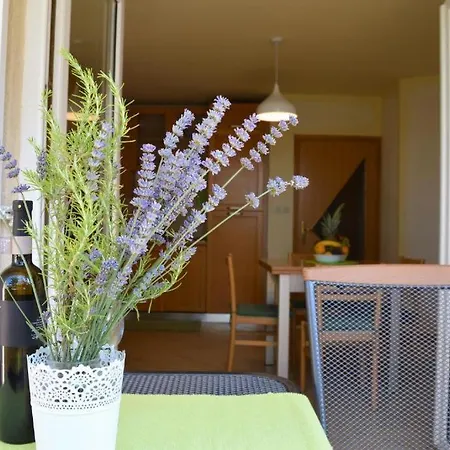 Apartment Alba Maris - Center *